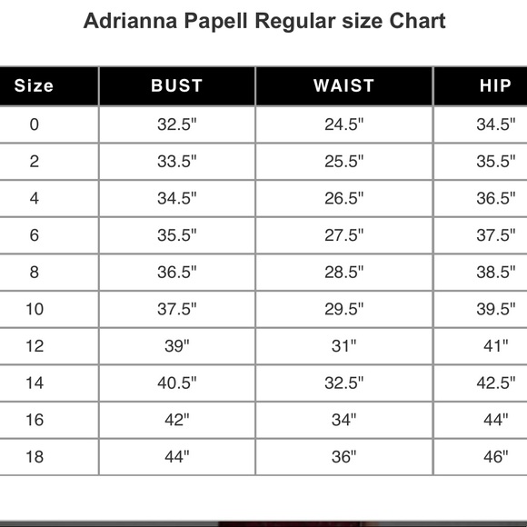 NWT Adrianna Papell Lace Long Sleeve Evening Gown - Picture 9 of 9